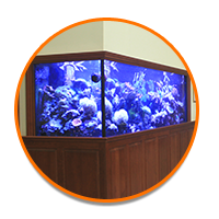 700 Gallon Reef Tank